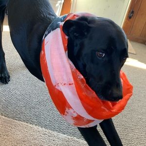 American Flag Scarf